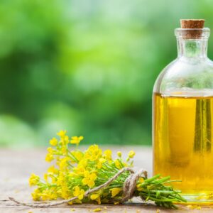 RBD Rapeseed / Canola Oil